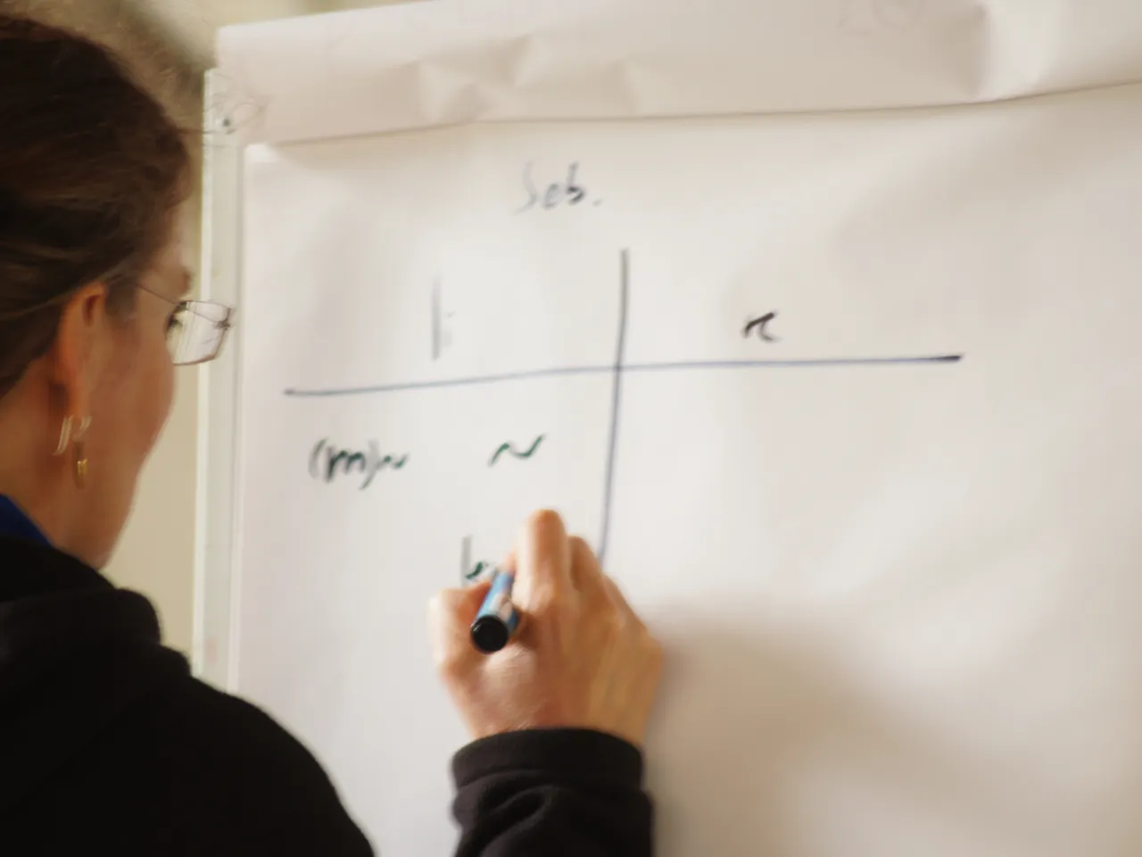 Systematische Darstellung eines TCM-Modells während einer DGTCM-Lehrveranstaltung