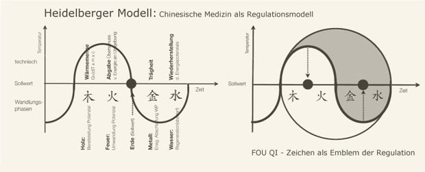 FOU-QI-Darstellung des Heidelberger Modells als Regulationsmodell